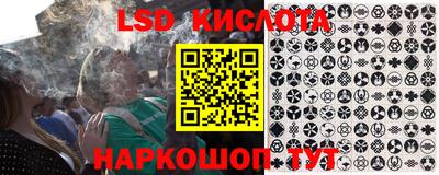 прущие грибы Кунгур