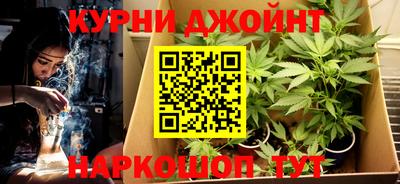 индика Кулебаки