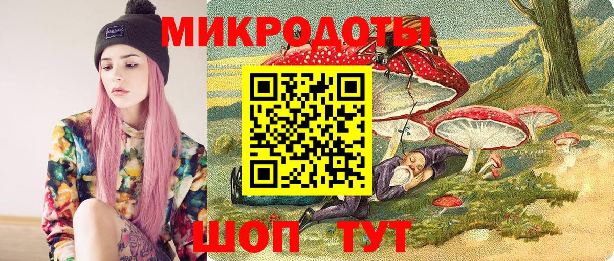 что такое наркотик  Вход с VPN  Каменка  Галлюциногенные грибы Psilocybine cubensis 