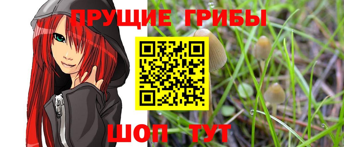 Псилоцибиновые грибы Каменка