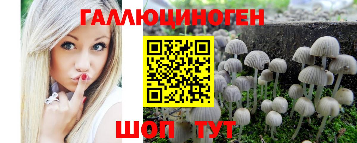 Галлюциногенные грибы GOLDEN TEACHER Каменка